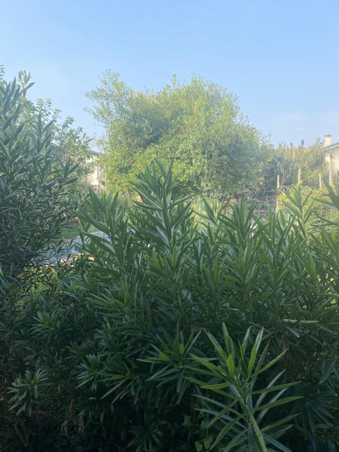 B&B Le Rose Villafranca Padovana Luaran gambar
